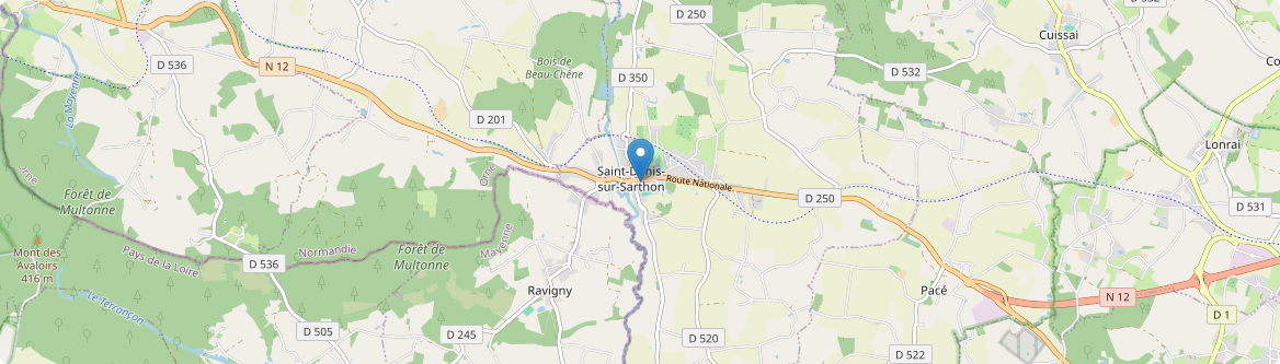 Saint-Denis-sur-Sarthon - Carte