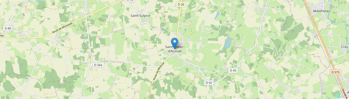 Saint-Didier-d'Aussiat - Carte