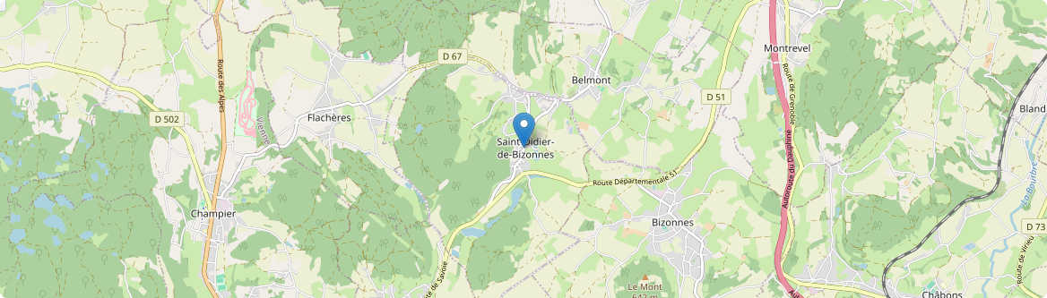 Saint-Didier-de-Bizonnes - Carte
