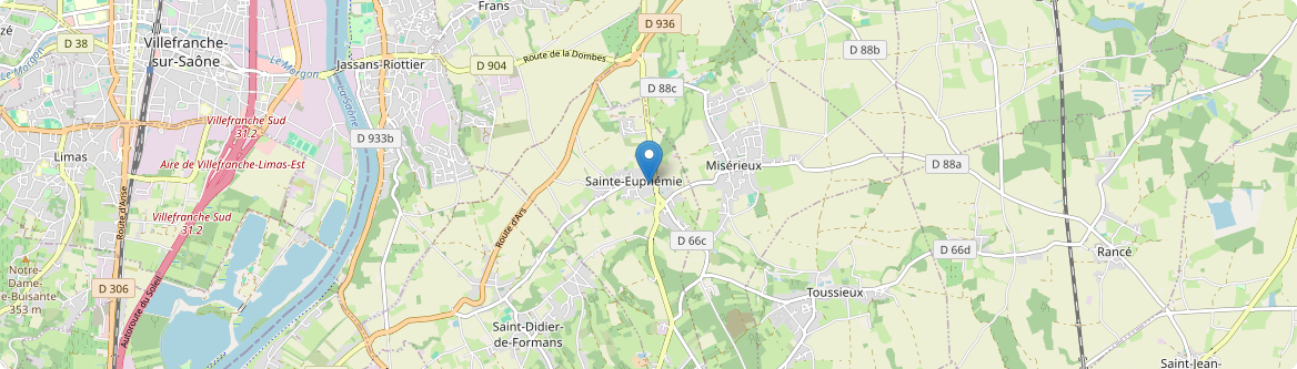 Saint-Didier-de-Formans - Carte