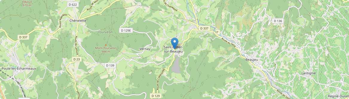Saint-Didier-sur-Beaujeu - Carte