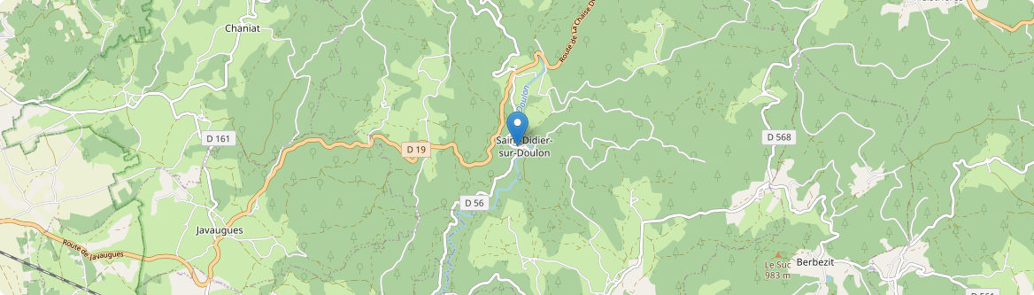 Saint-Didier-sur-Doulon - Carte