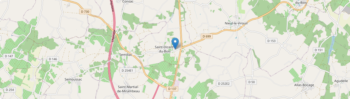 Saint-Dizant-du-Bois - Carte