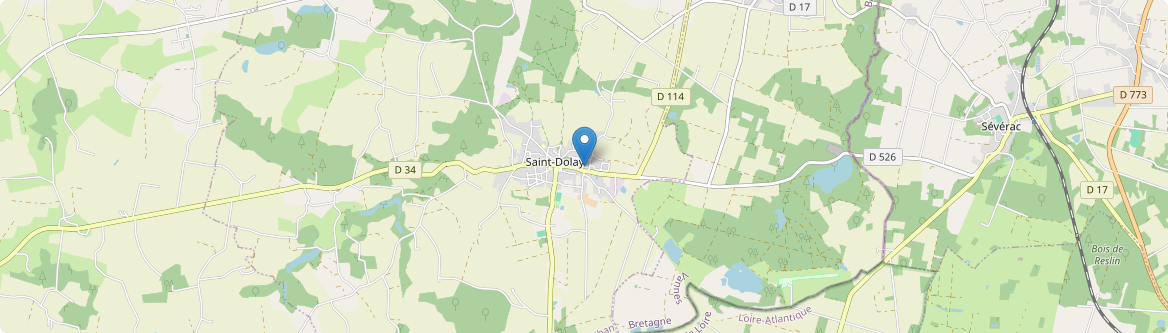 Saint-Dolay - Carte