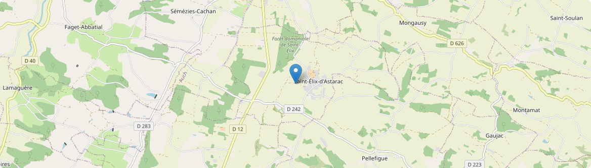 Saint-Élix-d'Astarac - Carte