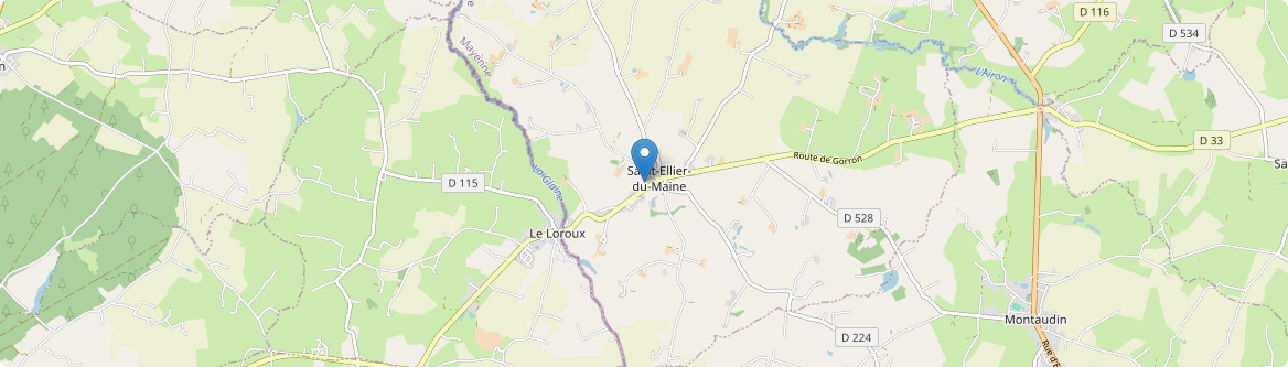 Saint-Ellier-du-Maine - Carte