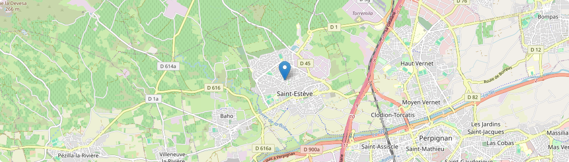 Saint-Estève - Carte