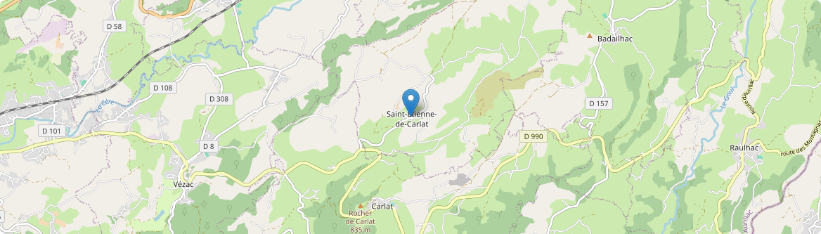 Saint-Étienne-de-Carlat - Carte