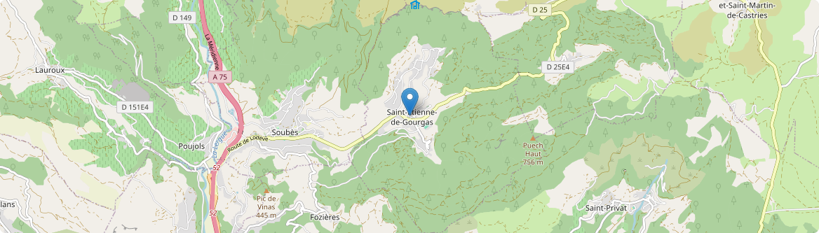 Saint-Étienne-de-Gourgas - Carte