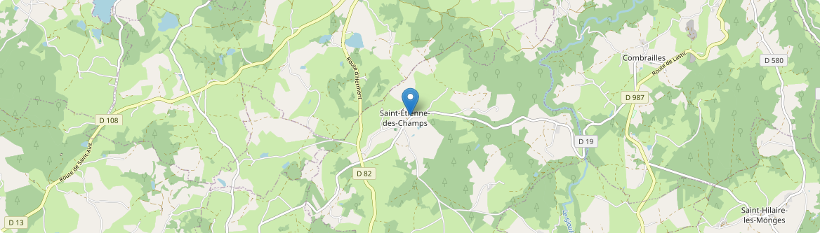 Saint-Étienne-des-Champs - Carte