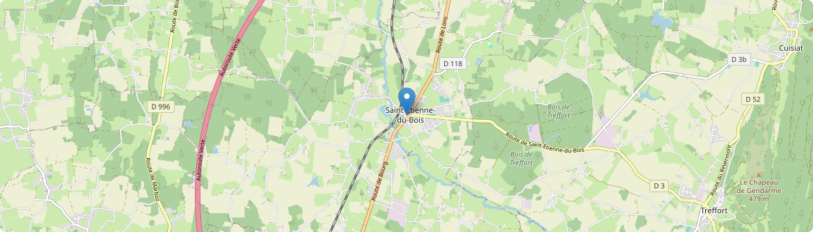 Saint-Étienne-du-Bois - Carte