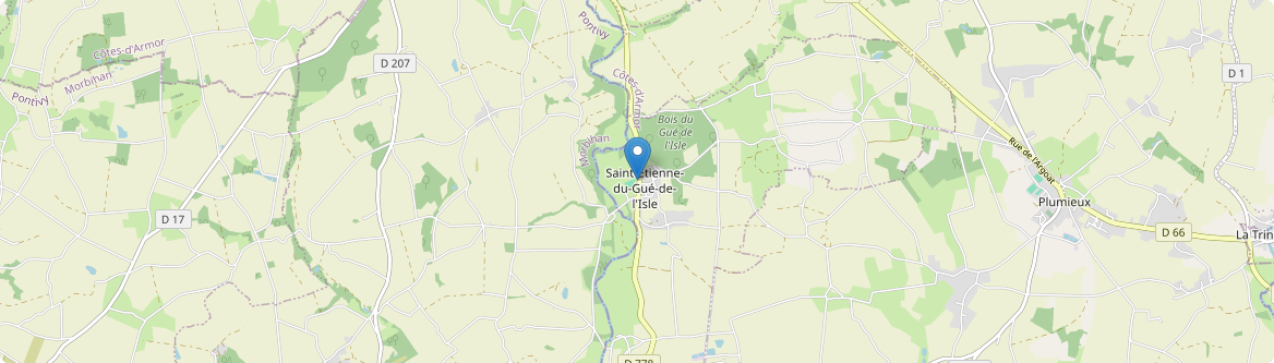 Saint-Étienne-du-Gué-de-l'Isle - Carte
