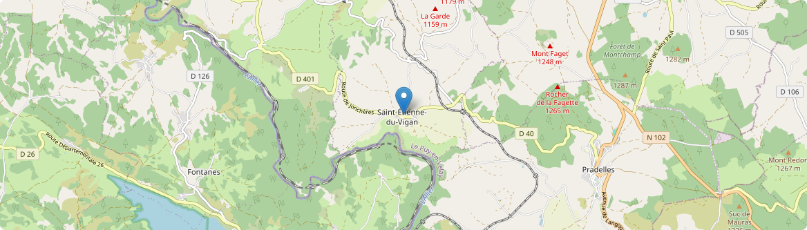 Saint-Étienne-du-Vigan - Carte
