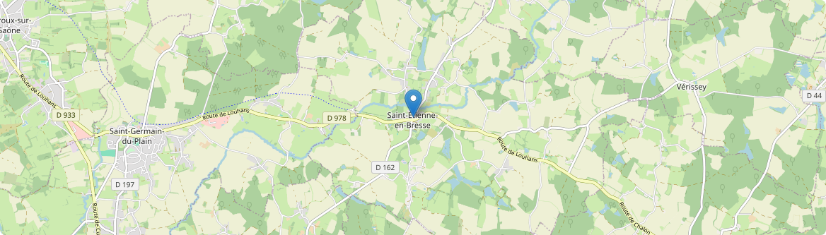 Saint-Étienne-en-Bresse - Carte