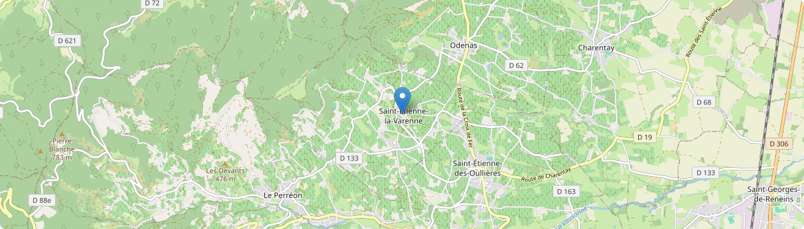 Saint-Étienne-la-Varenne - Carte