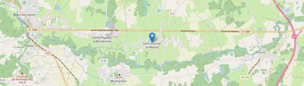 Saint-Étienne-le-Molard - Carte
