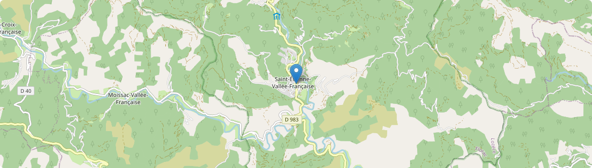 Saint-Étienne-Vallée-Française - Carte