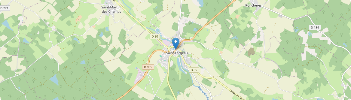 Saint-Fargeau - Carte