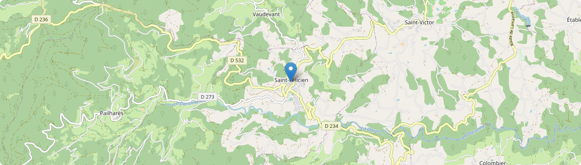 Saint-Félicien - Carte