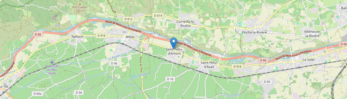 Saint-Féliu-d'Amont - Carte