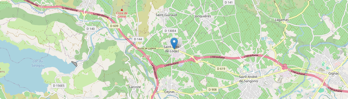Saint-Félix-de-Lodez - Carte