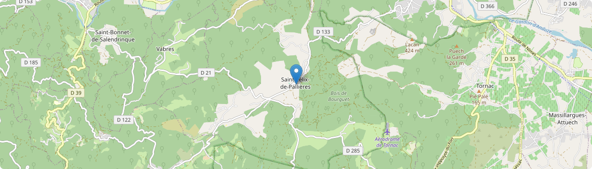 Saint-Félix-de-Pallières - Carte