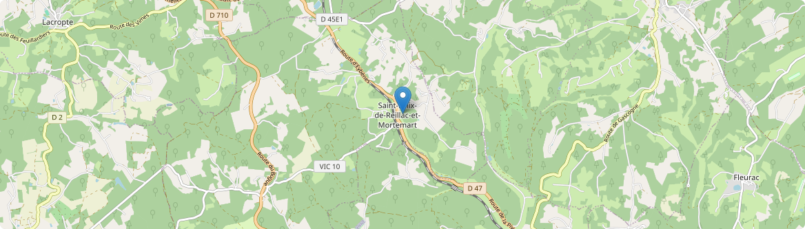Saint-Félix-de-Reillac-et-Mortemart - Carte