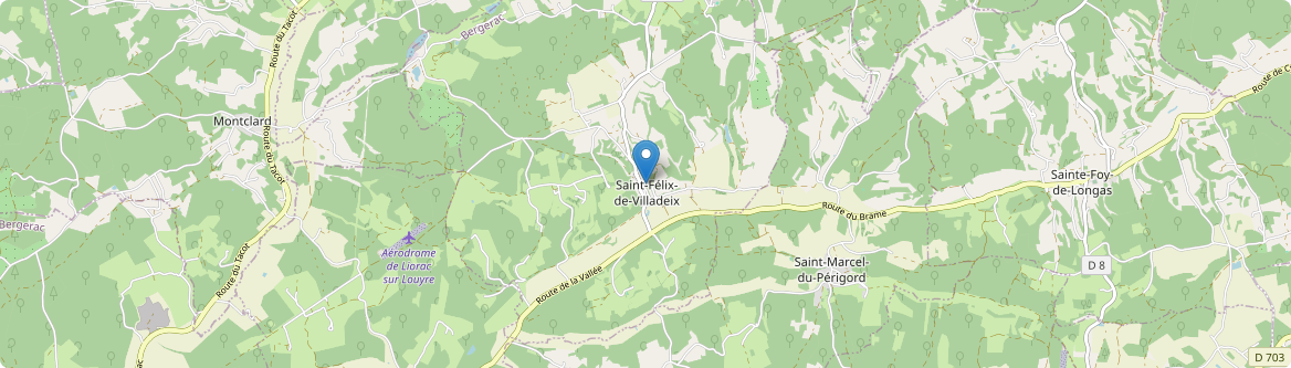 Saint-Félix-de-Villadeix - Carte