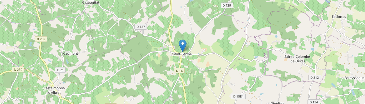 Saint-Ferme - Carte