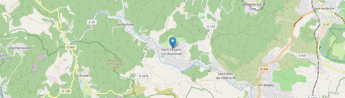 Saint-Florent-sur-Auzonnet - Carte