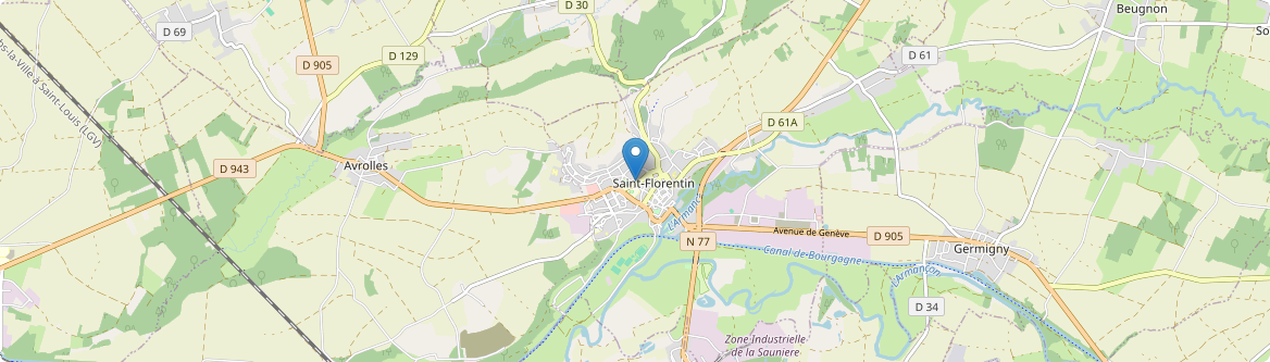 Saint-Florentin - Carte