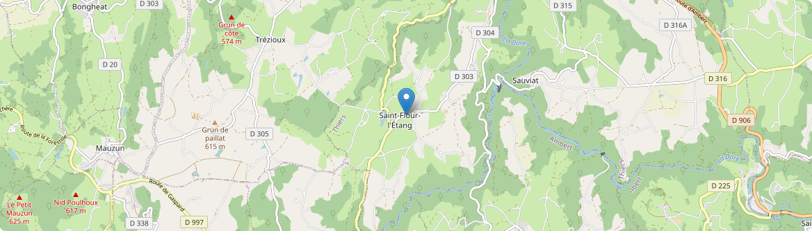 Saint-Flour-l'Étang - Carte