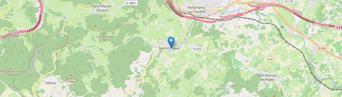 Saint-Forgeux - Carte