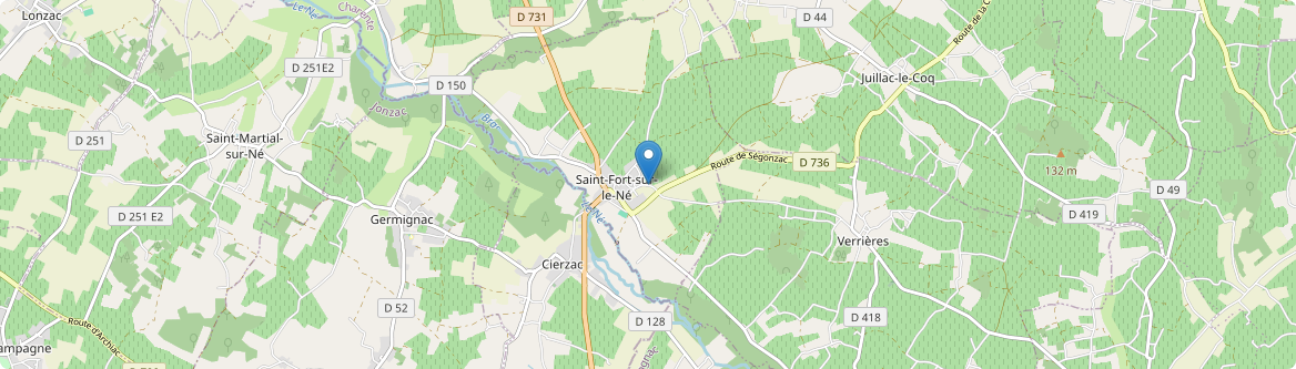 Saint-Fort-sur-le-Né - Carte