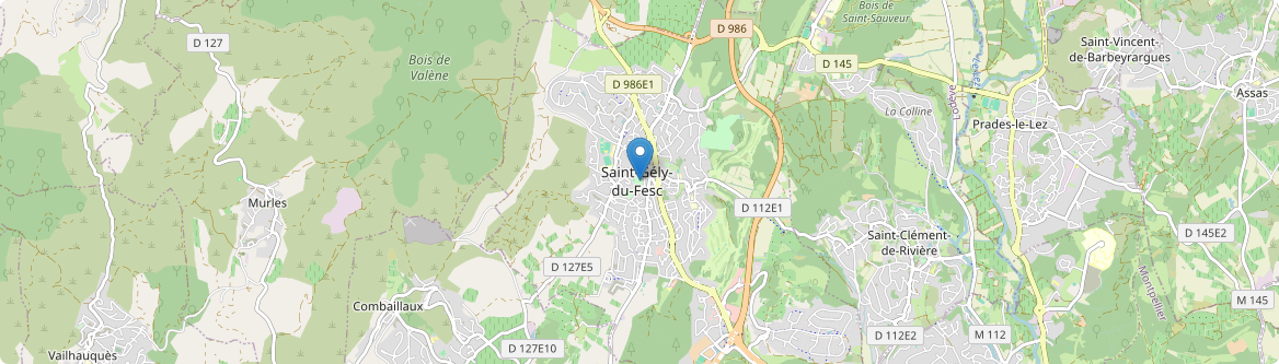 Saint-Gély-du-Fesc - Carte