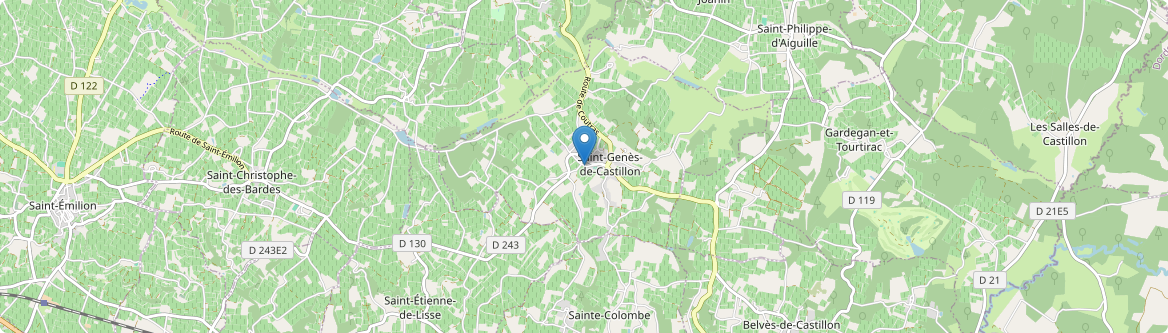 Saint-Genès-de-Castillon - Carte
