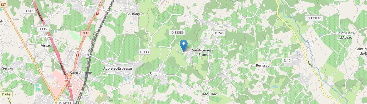 Saint-Genès-de-Fronsac - Carte