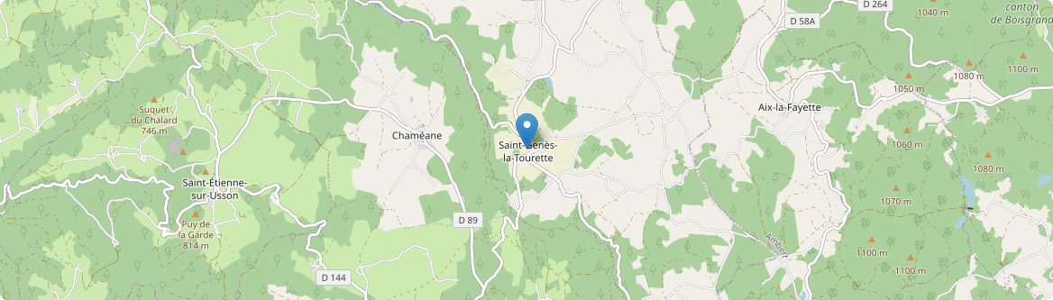Saint-Genès-la-Tourette - Carte