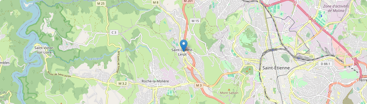 Saint-Genest-Lerpt - Carte