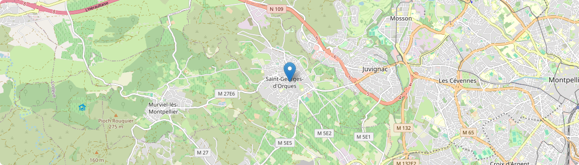 Saint-Georges-d'Orques - Carte