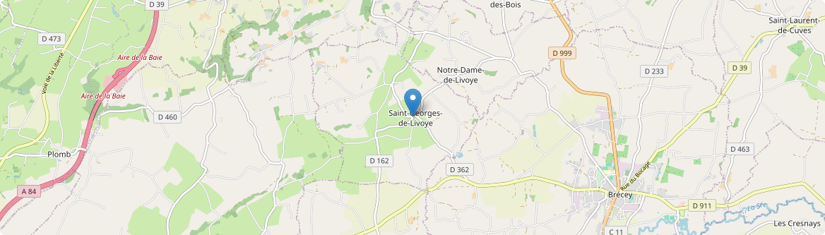 Saint-Georges-de-Livoye - Carte