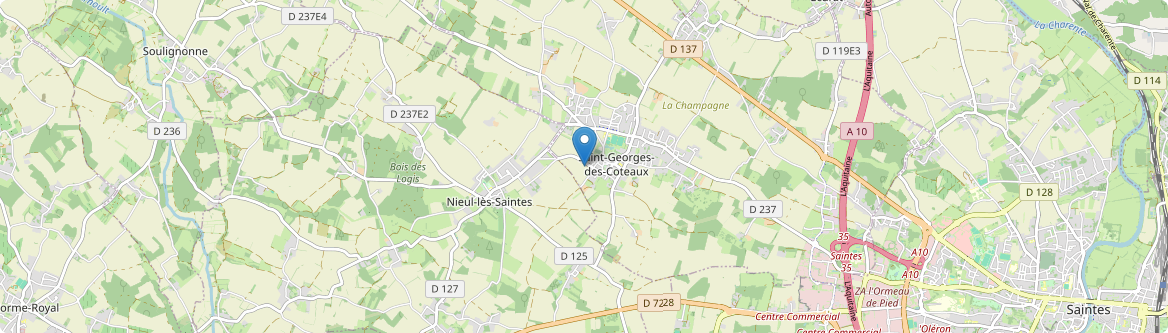 Saint-Georges-des-Coteaux - Carte
