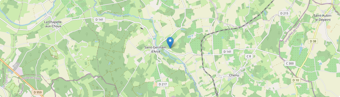 Saint-Germain-d'Arcé - Carte
