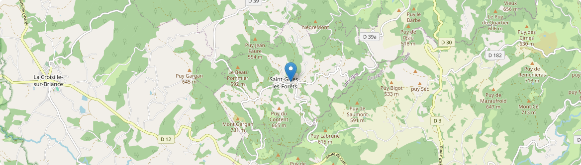 Saint-Gilles-les-Forêts - Carte