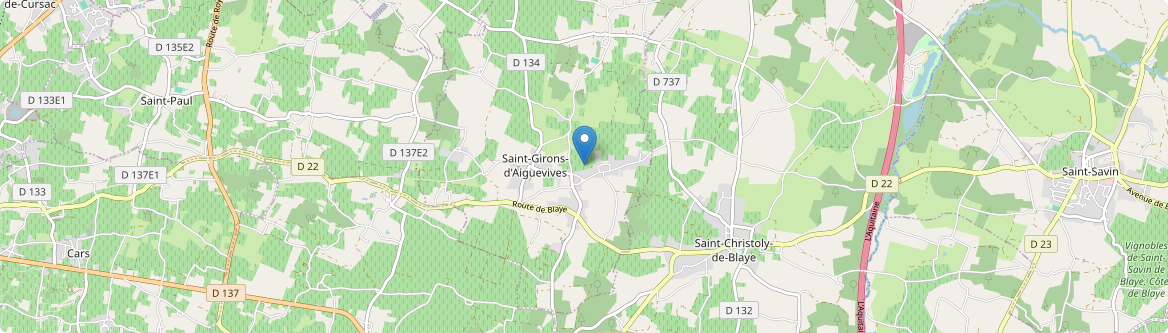 Saint-Girons-d'Aiguevives - Carte