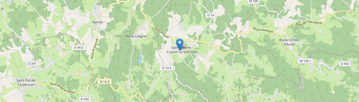 Saint-Hilaire-Cusson-la-Valmitte - Carte