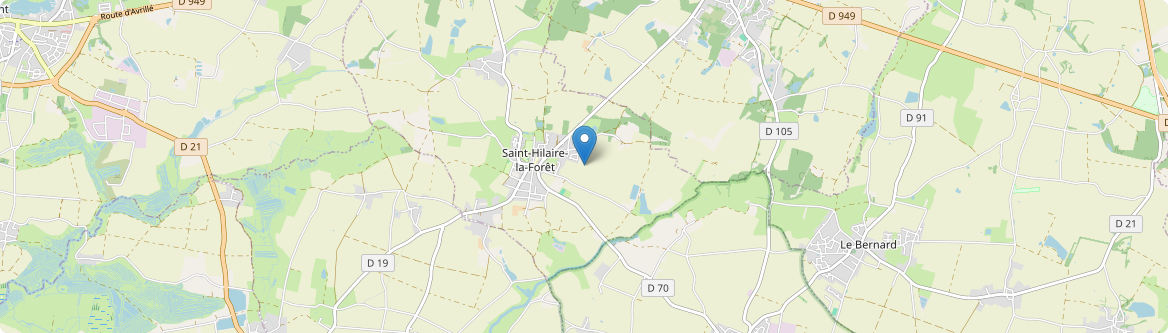 Saint-Hilaire-la-Forêt - Carte
