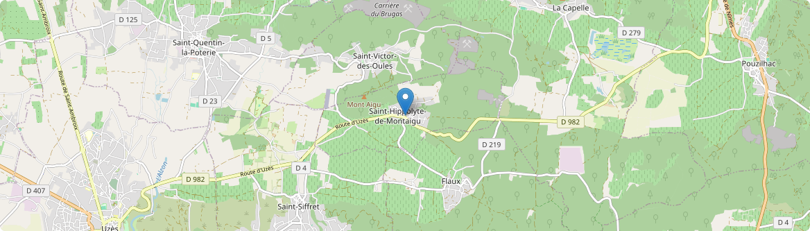 Saint-Hippolyte-de-Montaigu - Carte