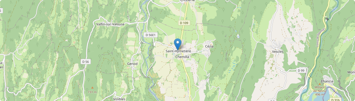 Saint-Hymetière-sur-Valouse - Carte