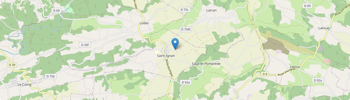 Saint-Ignan - Carte
